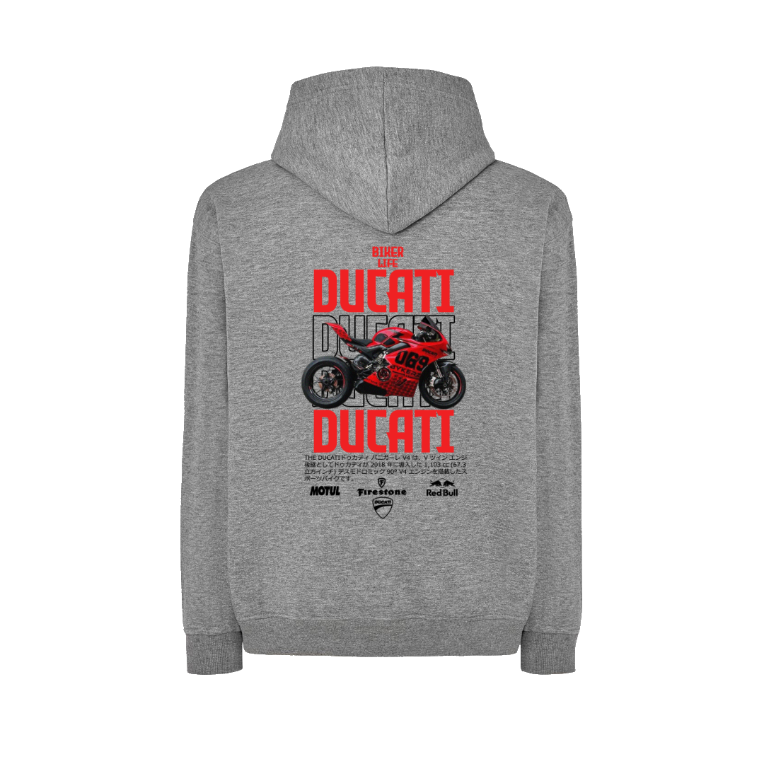 DUCATI PANIGALE V4 1
