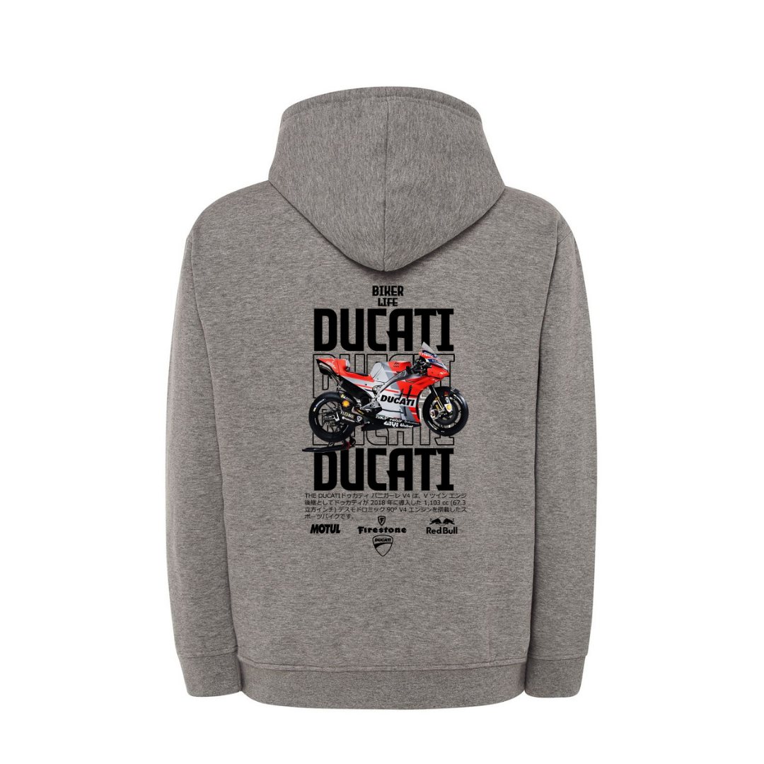 DUCATI PANIGALE V4 3