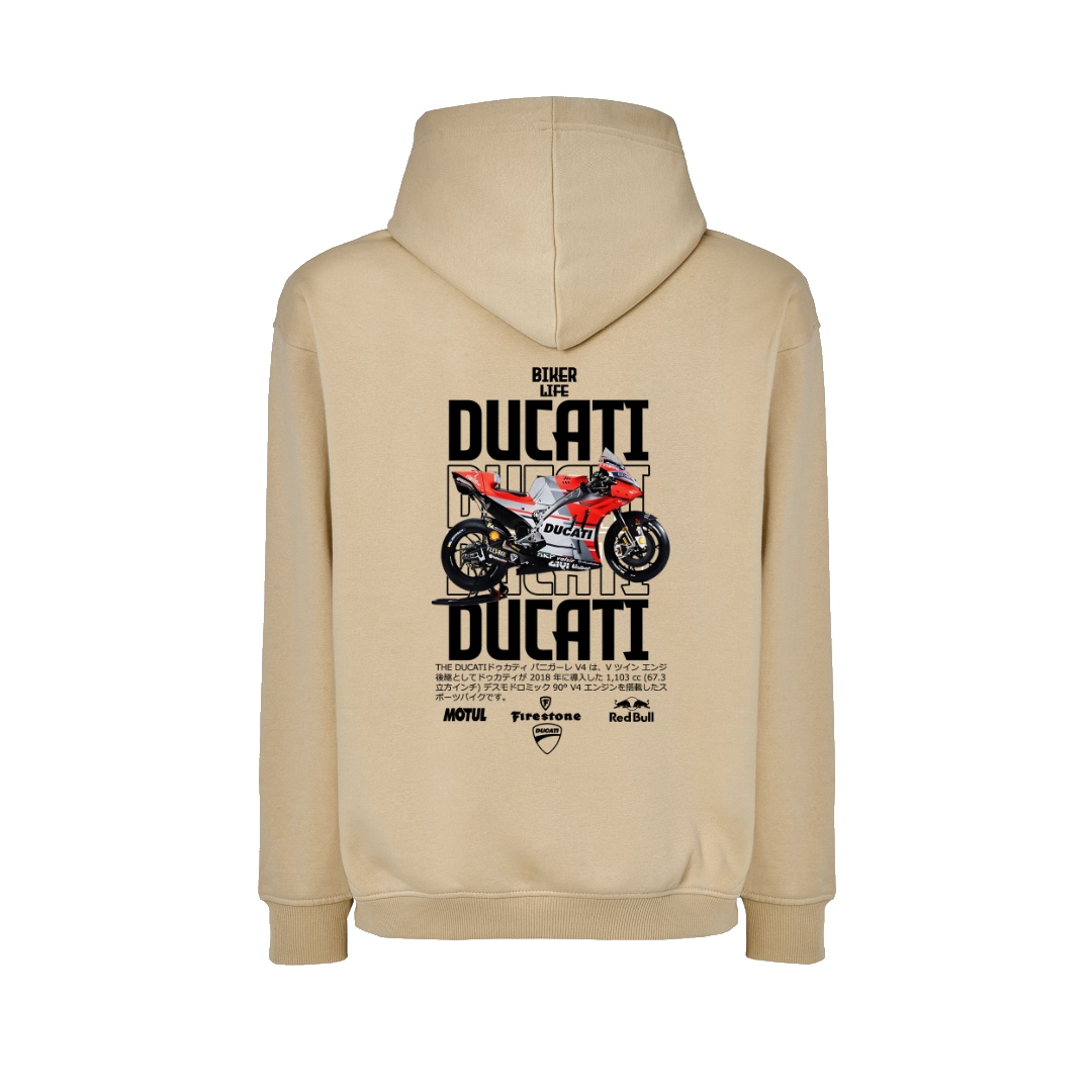 DUCATI PANIGALE V4 3