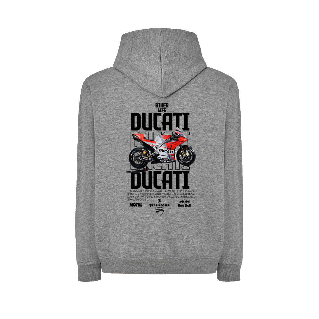DUCATI PANIGALE V4 3
