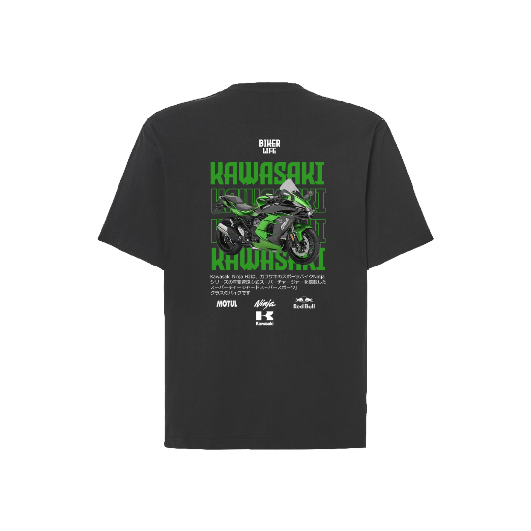 KAWASAKI NINJA H2 1