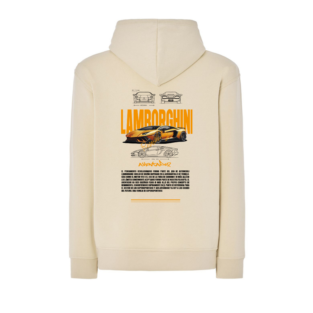 LAMBORGHINI AVENTADOR 1