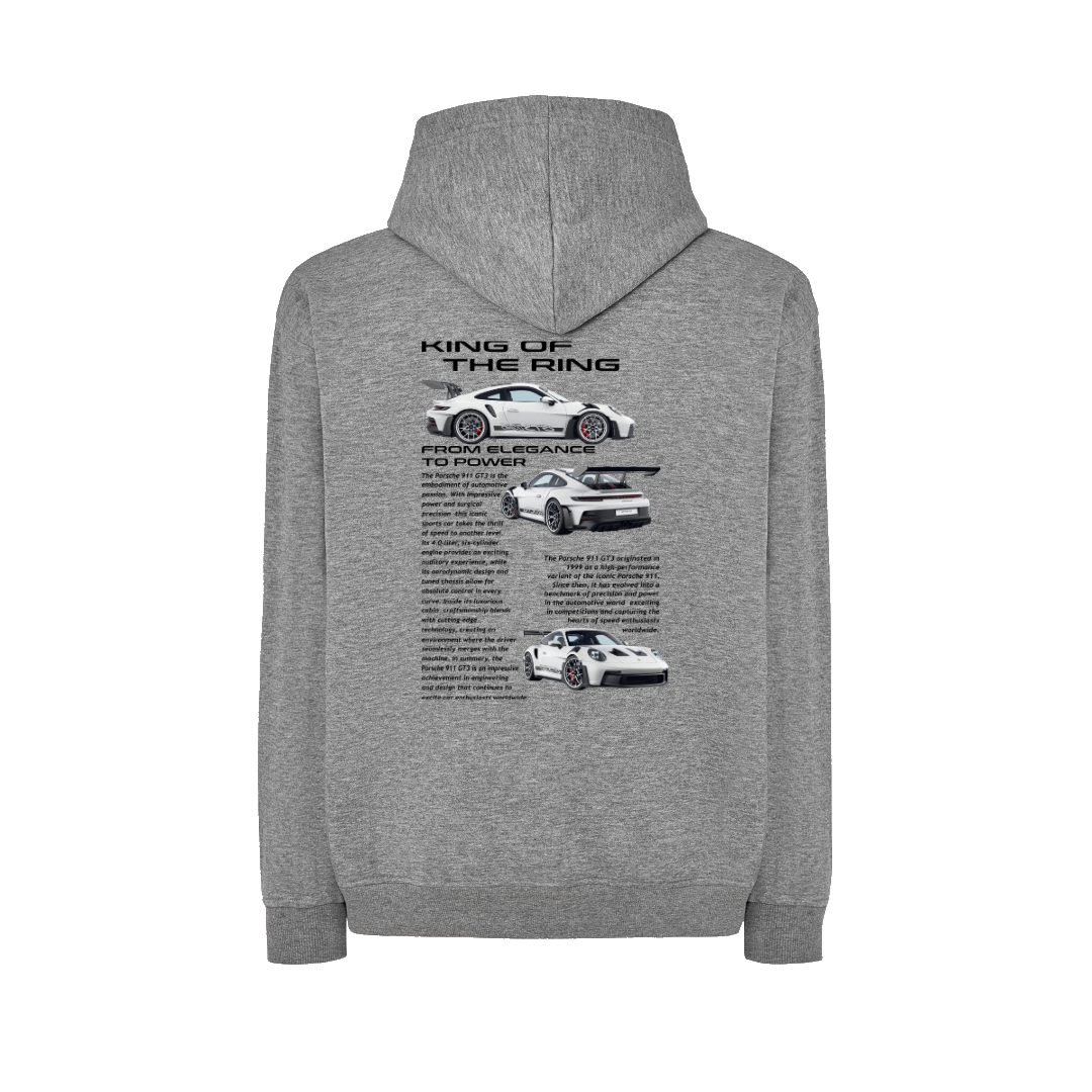 PORSCHE 911 GT3 1