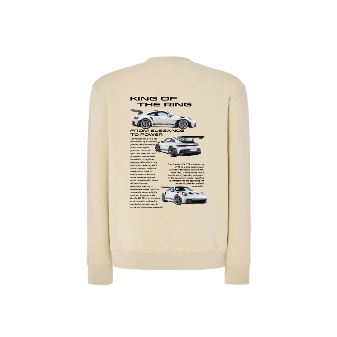 PORSCHE 911 GT3 1