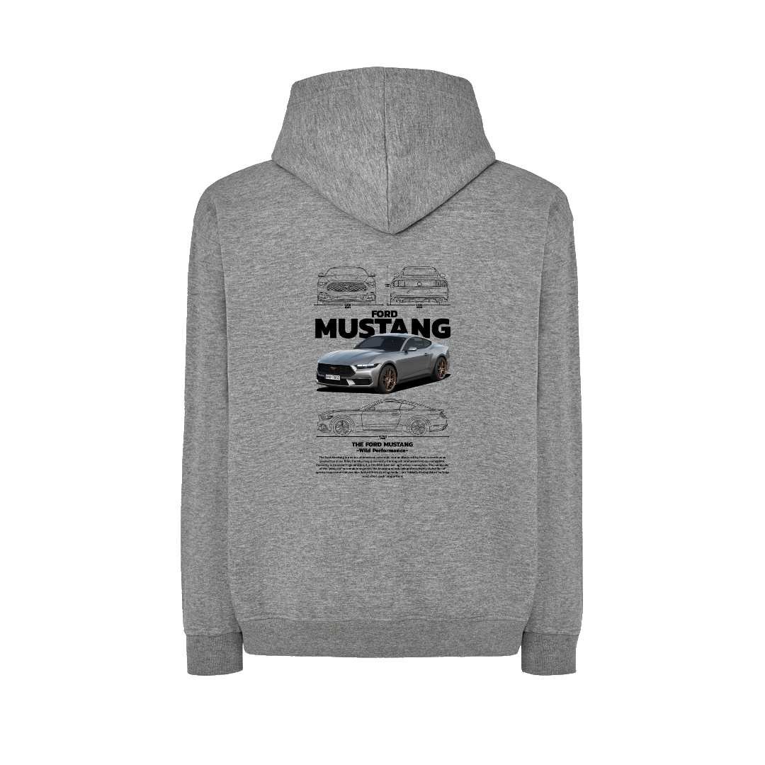 FORD MUSTANG 1