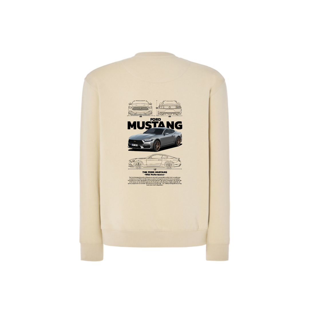 FORD MUSTANG 1