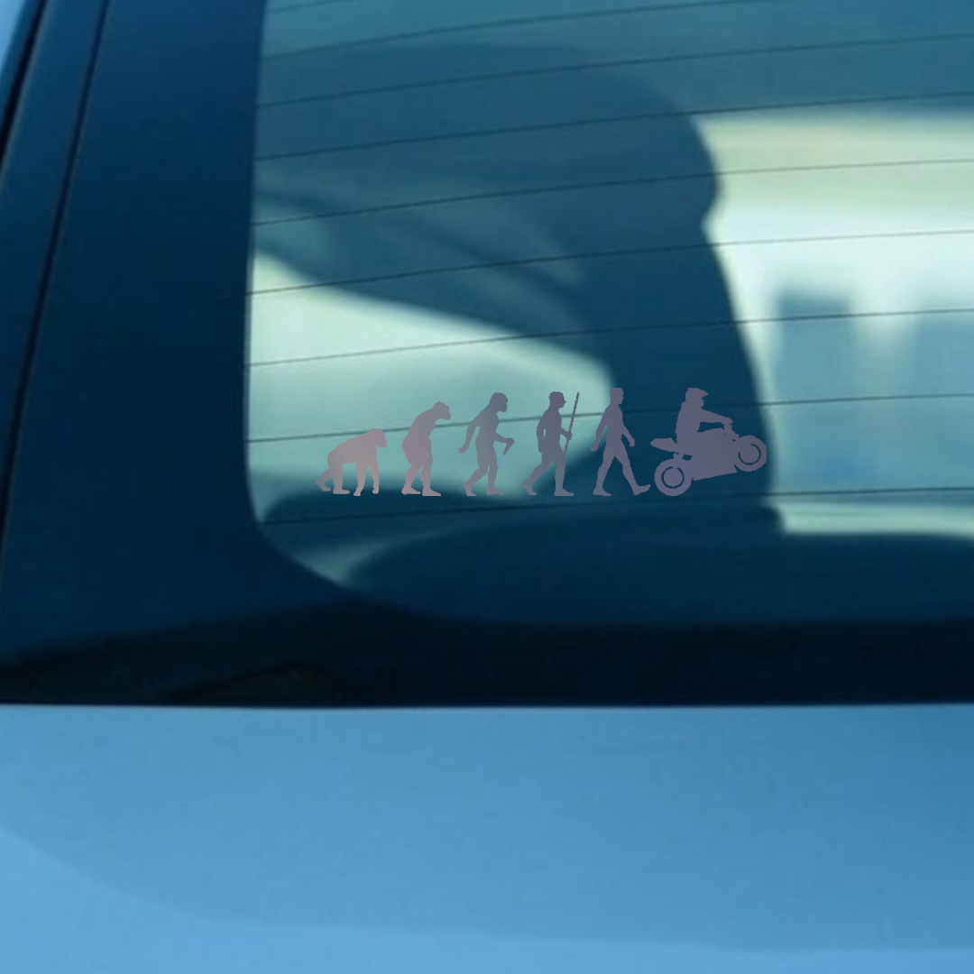 Evolución Humana